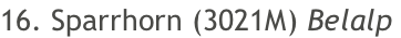 16. Sparrhorn (3021M) Belalp