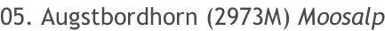 05. Augstbordhorn (2973M) Moosalp